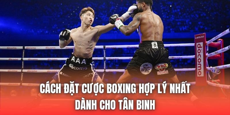 Cách Đặt Cược Boxing Hợp Lý Nhất Dành Cho Tân Binh